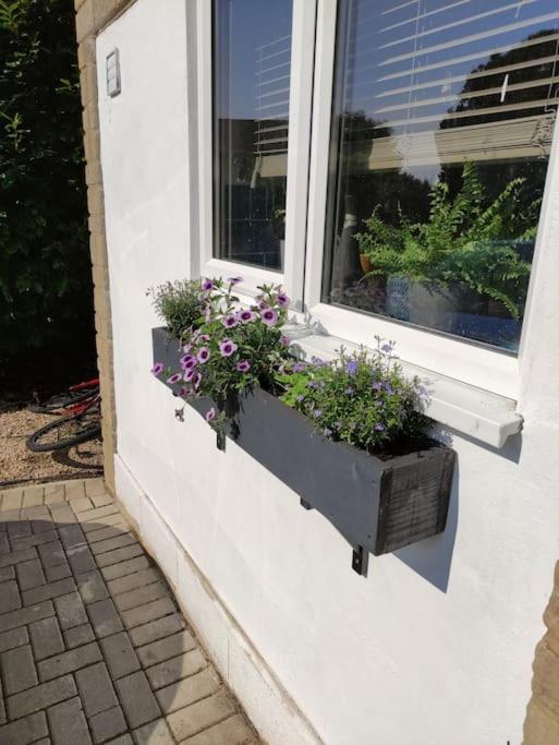 The Old Bar In Wiltshire - 1 Bedroom Guesthouse 치펜햄 외부 사진